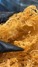 Load image into Gallery viewer, Irish Sea Moss Gel